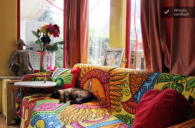 colorful livingroomplus siamese-1